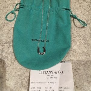 Tiffany & Co Horseshoe necklace